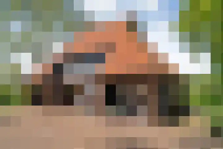 Dijkhuizen 13 Ruinerwold thumbnail 86