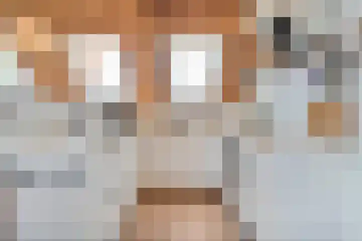 Dijkhuizen 13 Ruinerwold thumbnail 89
