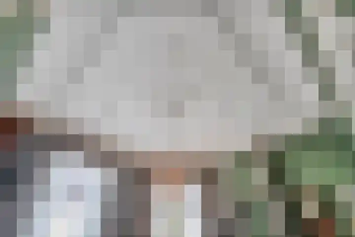 Dijkhuizen 13 Ruinerwold thumbnail 9