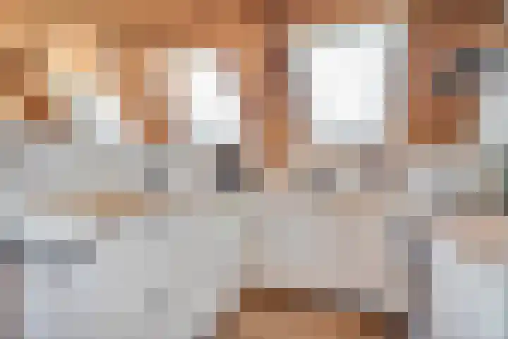Dijkhuizen 13 Ruinerwold thumbnail 90