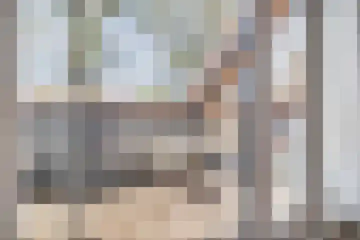 Dijkhuizen 13 Ruinerwold thumbnail 92