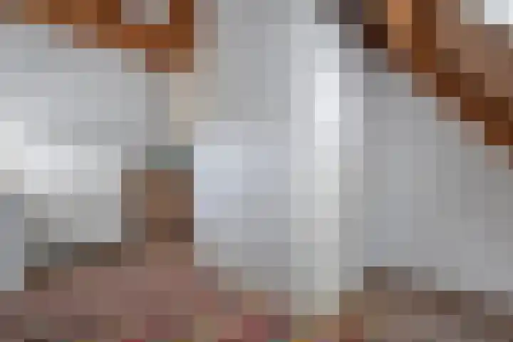 Dijkhuizen 13 Ruinerwold thumbnail 96