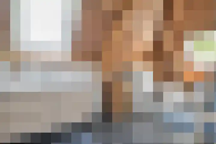 Dijkhuizen 13 Ruinerwold thumbnail 99