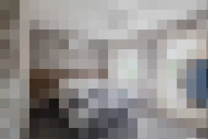Dijkhuizen 36 Ruinerwold thumbnail 16