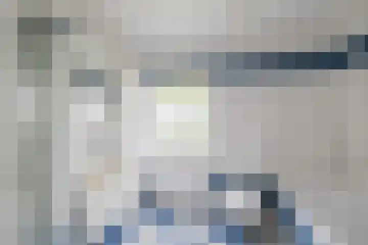 Dijkhuizen 36 Ruinerwold thumbnail 19