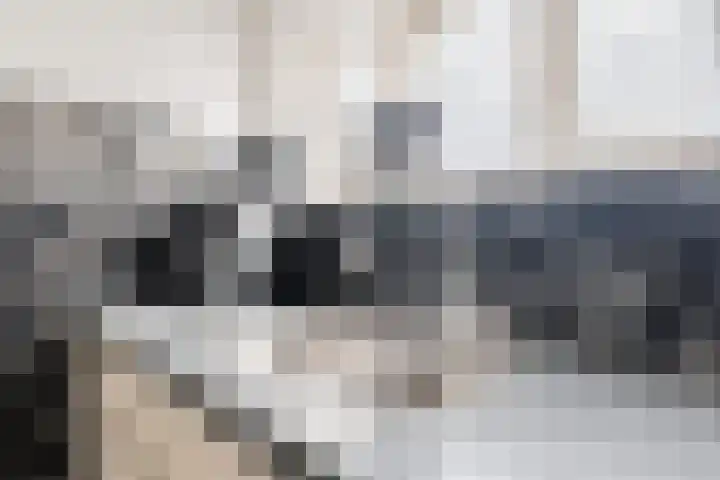 Dijkhuizen 36 Ruinerwold thumbnail 8