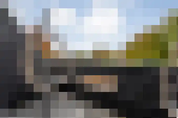 Dijkhuizen 7 c Ruinerwold thumbnail 10