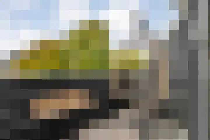 Dijkhuizen 7 c Ruinerwold thumbnail 11