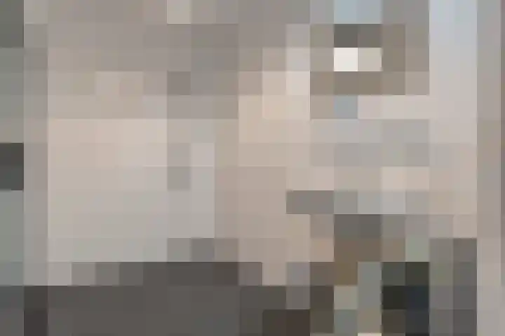 Dijkhuizen 7 c Ruinerwold thumbnail 18