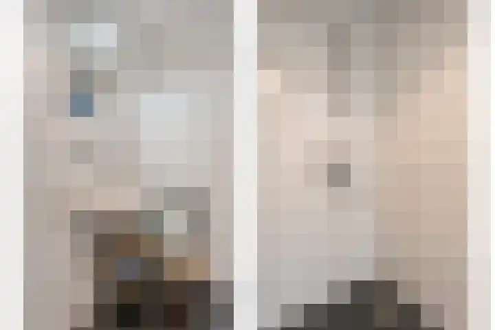 Dijkhuizen 7 c Ruinerwold thumbnail 20