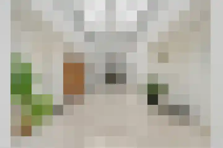 Dijkhuizen 7 c Ruinerwold thumbnail 21