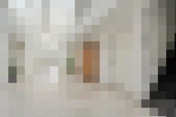 Dijkhuizen 7 c Ruinerwold thumbnail 23