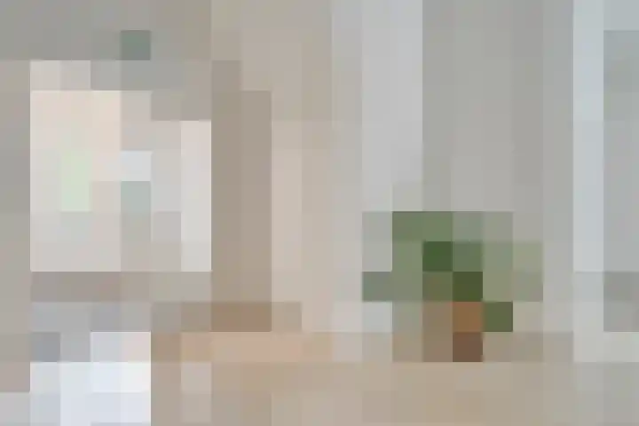 Dijkhuizen 7 c Ruinerwold thumbnail 24