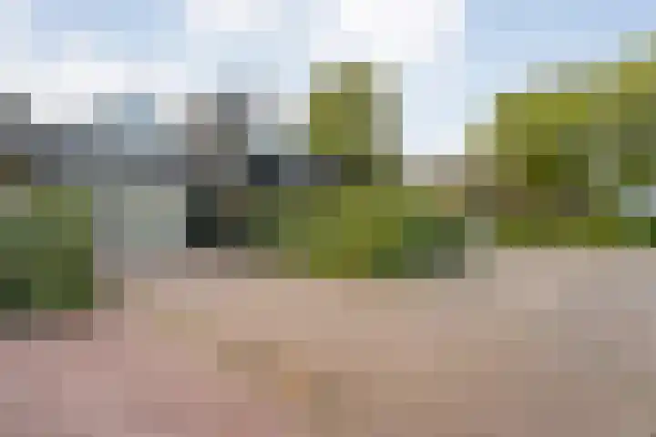 Dijkhuizen 7 c Ruinerwold thumbnail 29