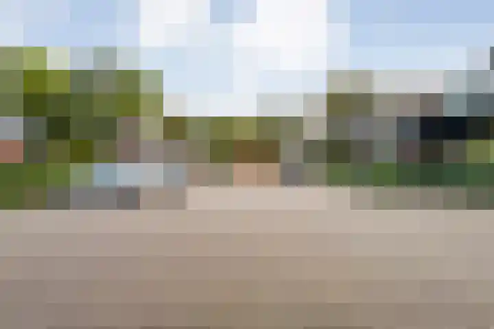 Dijkhuizen 7 c Ruinerwold thumbnail 30