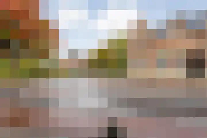 Dijkhuizen 7 c Ruinerwold thumbnail 39