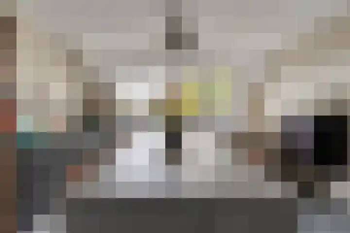Dijkhuizen 7 c Ruinerwold thumbnail 5