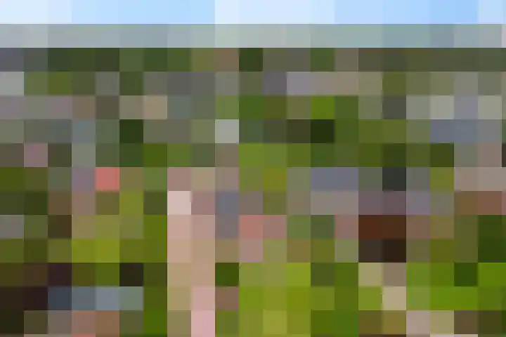 Dijkhuizenweg 76 Appingedam thumbnail 36