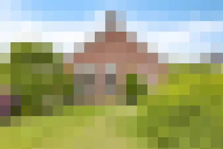 Dijkhuizenweg 76 Appingedam thumbnail 37