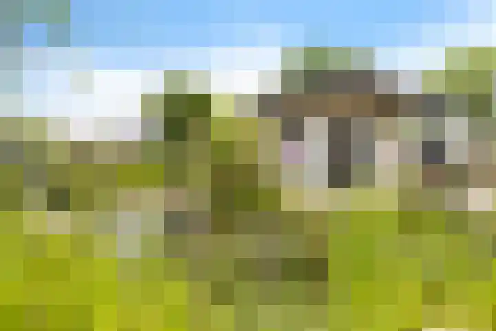 Dijkhuizenweg 76 Appingedam thumbnail 43