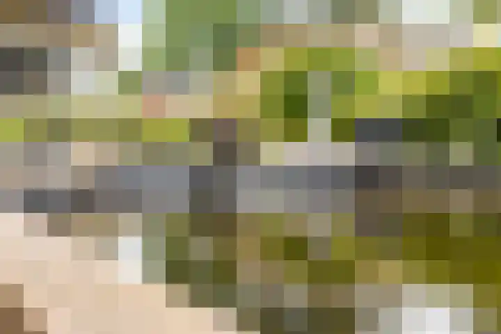 Dijkhuizenweg 76 Appingedam thumbnail 45