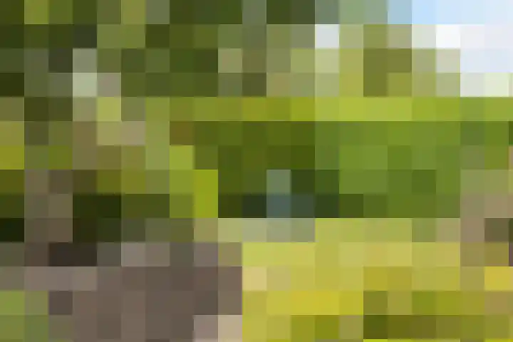 Dijkhuizenweg 76 Appingedam thumbnail 6