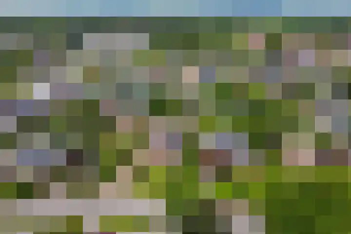 Dijkhuizenweg 76 Appingedam thumbnail 62