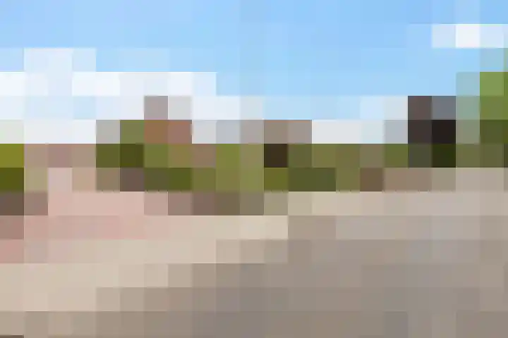 Dijkhuizenweg 76 Appingedam thumbnail 7