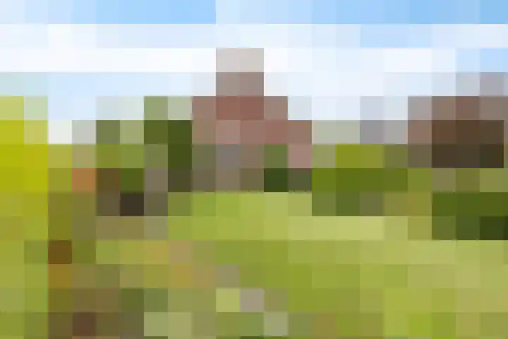 Dijkhuizenweg 76 Appingedam thumbnail 8