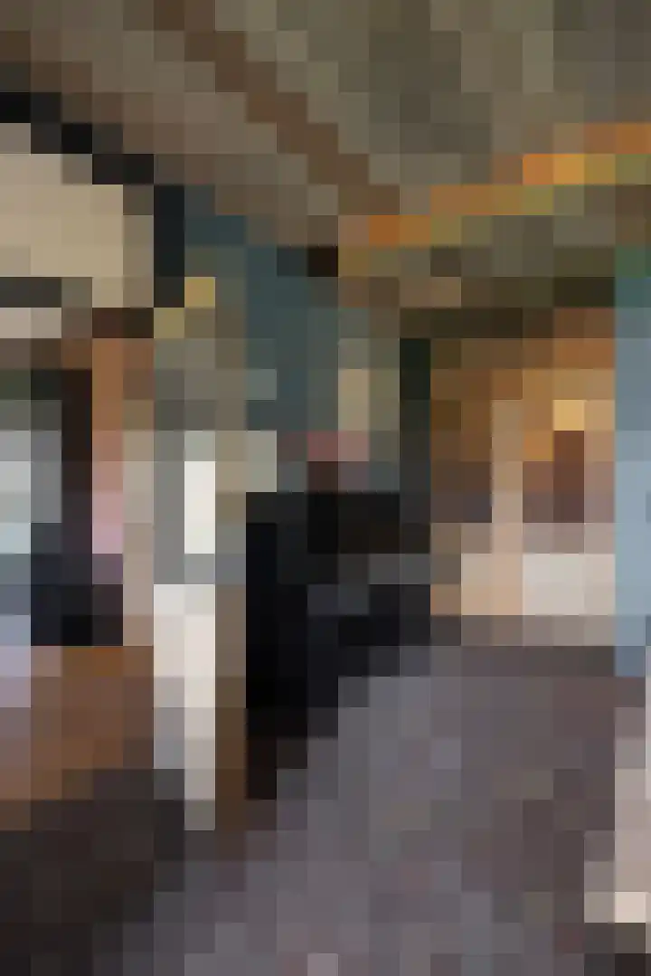 Dijkhuizerweg 25 Epe thumbnail 14
