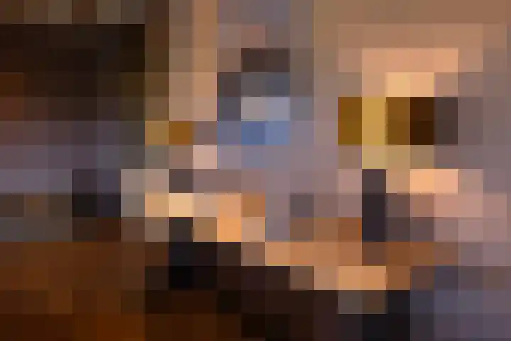 Dijkhuizerweg 25 Epe thumbnail 15