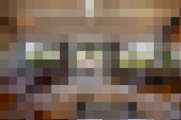 Dijkhuizerweg 25 Epe thumbnail 19