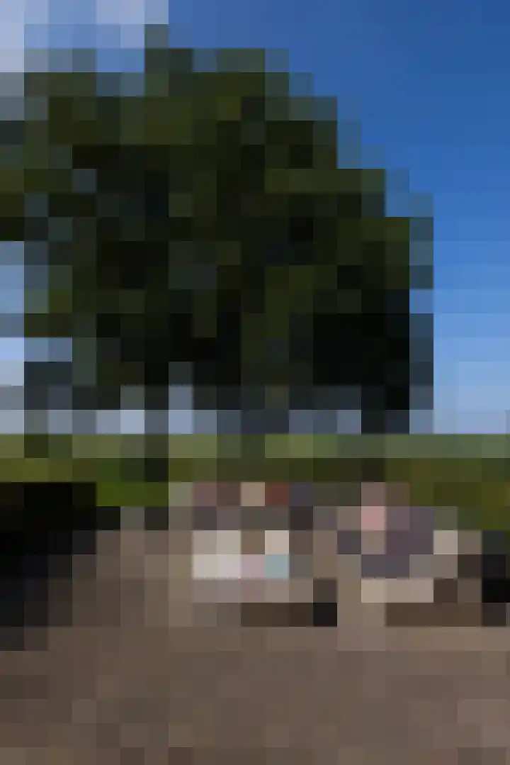 Dijkhuizerweg 25 Epe thumbnail 20