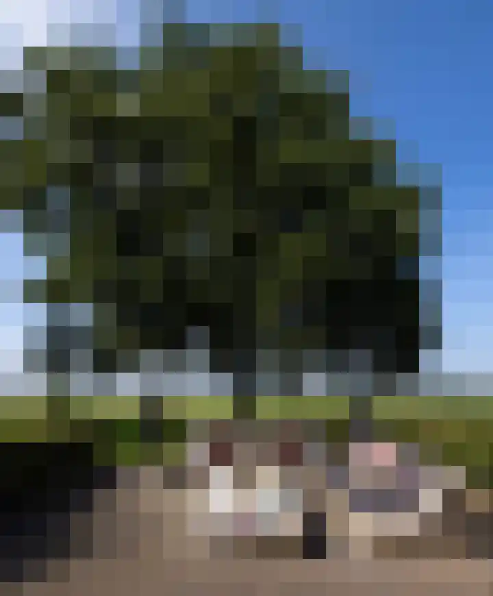 Dijkhuizerweg 25 Epe thumbnail 21