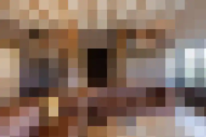 Dijkhuizerweg 25 Epe thumbnail 23