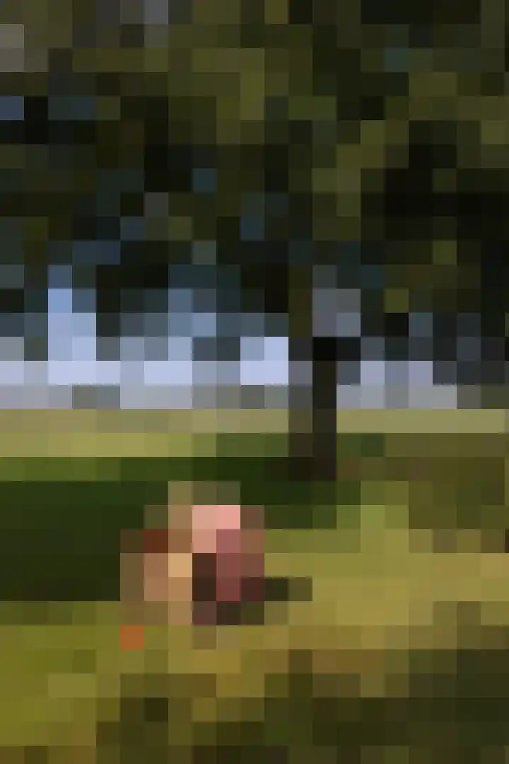Dijkhuizerweg 25 Epe thumbnail 27
