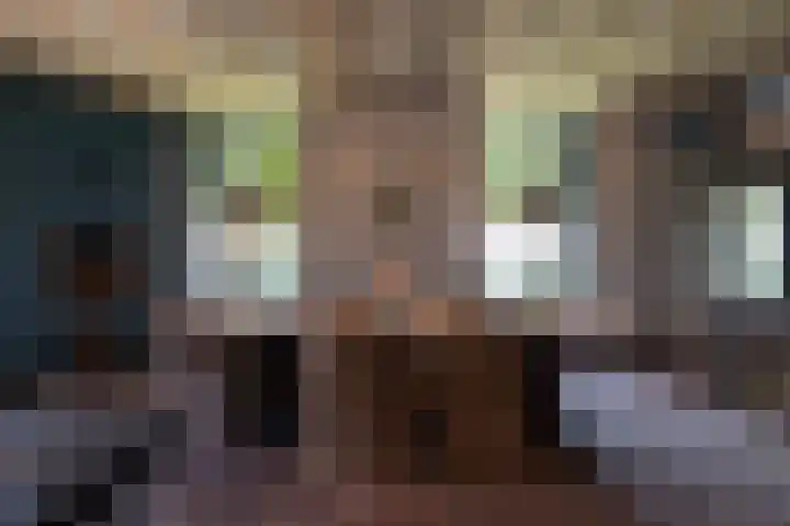 Dijkhuizerweg 25 Epe thumbnail 28