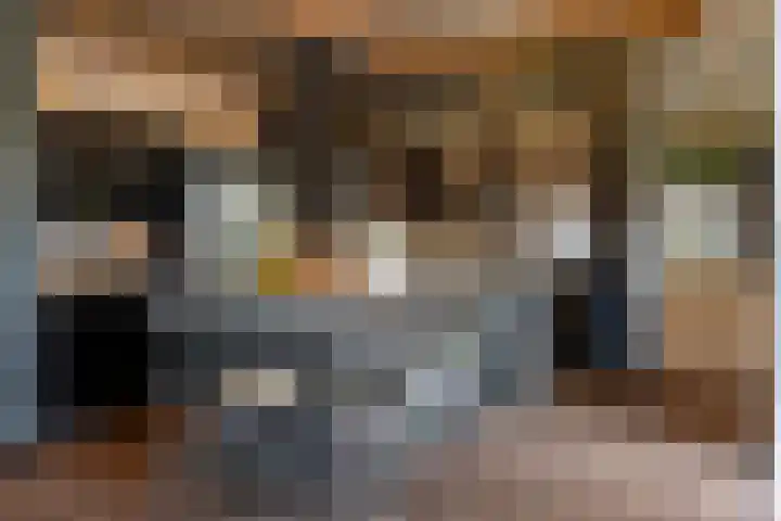 Dijkhuizerweg 25 Epe thumbnail 29