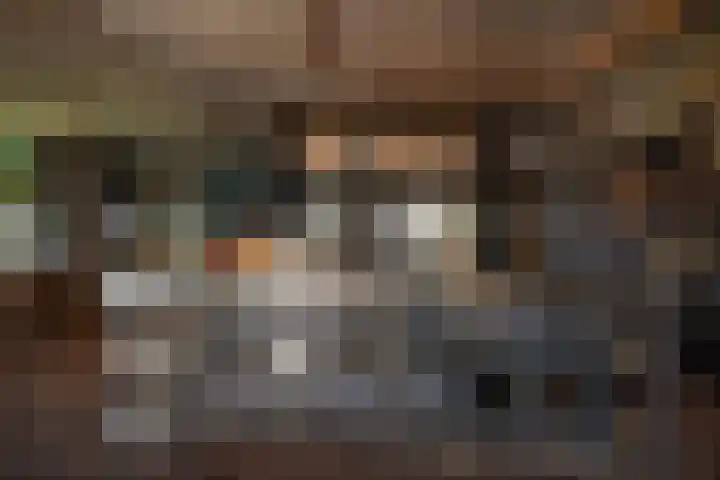 Dijkhuizerweg 25 Epe thumbnail 30