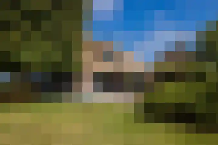 Dijkhuizerweg 25 Epe thumbnail 34