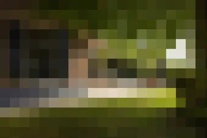 Dijkhuizerweg 25 Epe thumbnail 35