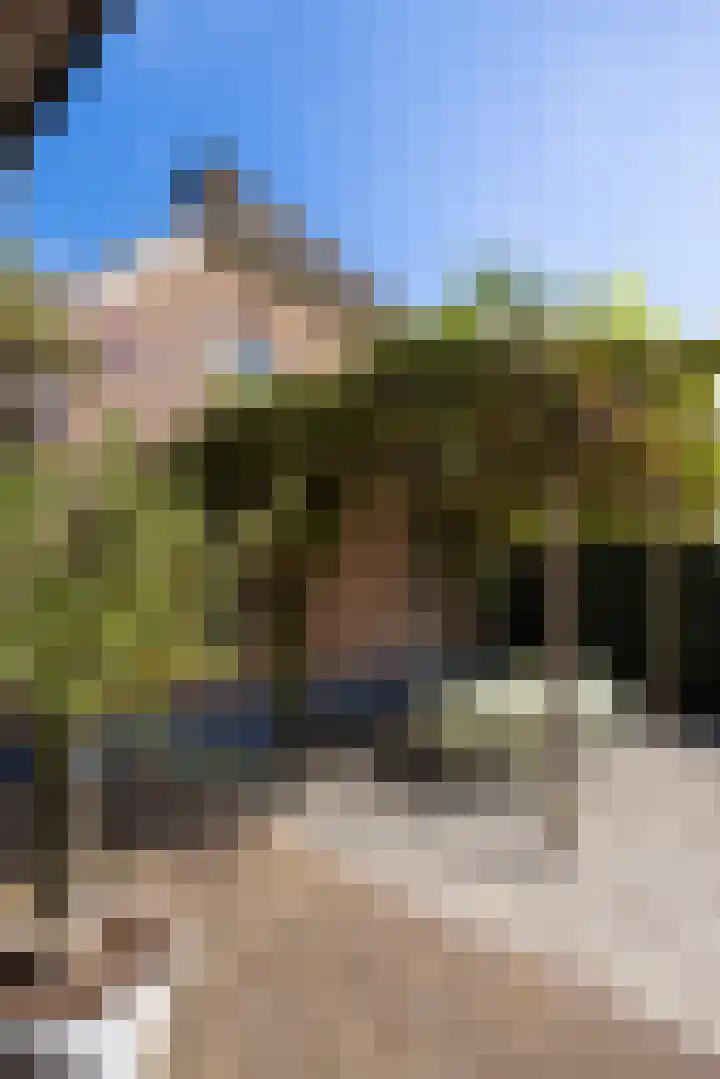 Dijkhuizerweg 25 Epe thumbnail 36