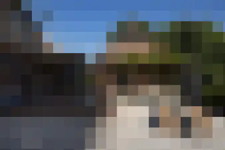 Dijkhuizerweg 25 Epe thumbnail 37