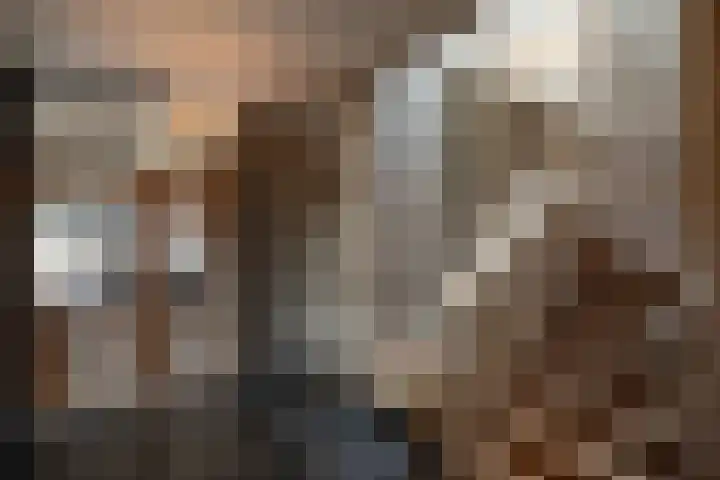 Dijkhuizerweg 25 Epe thumbnail 40