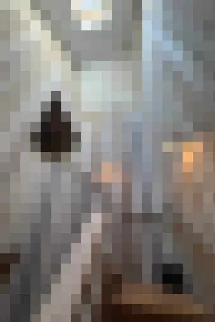 Dijkhuizerweg 25 Epe thumbnail 41