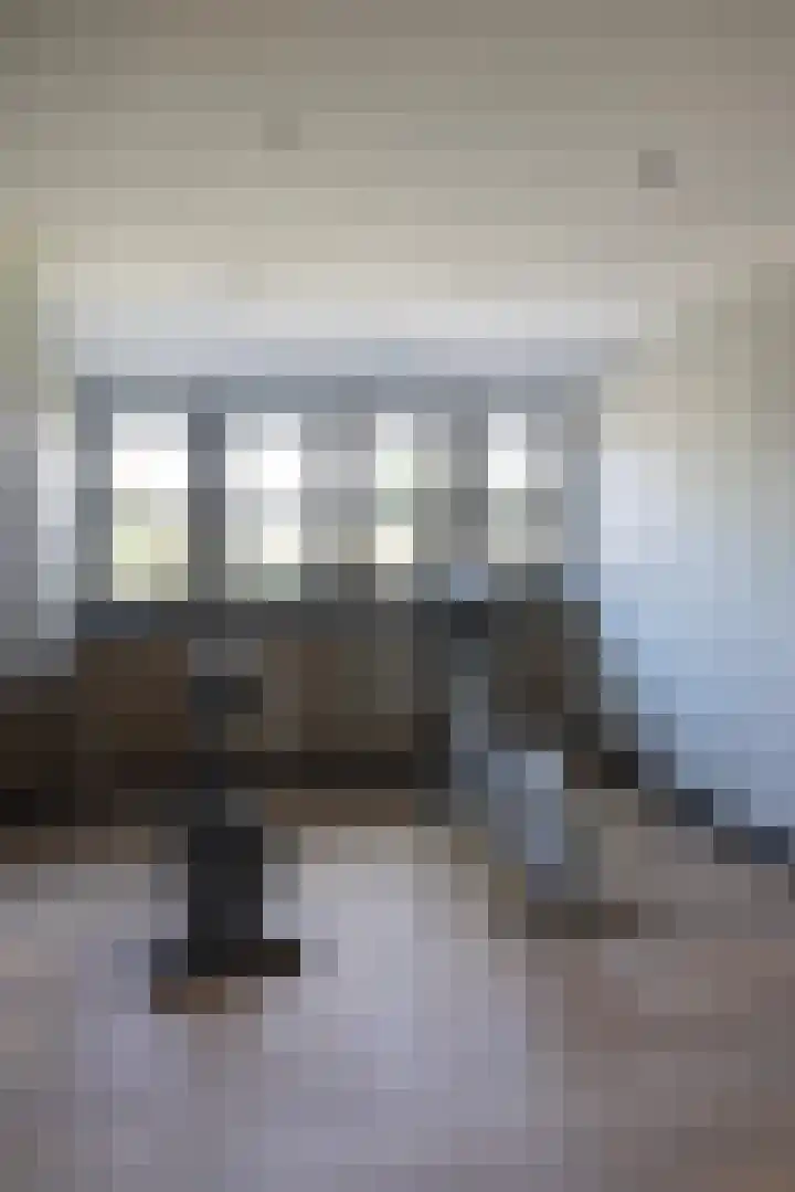 Dijkhuizerweg 25 Epe thumbnail 44