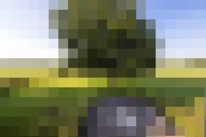 Dijkhuizerweg 25 Epe thumbnail 49