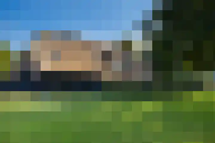 Dijkhuizerweg 25 Epe thumbnail 5