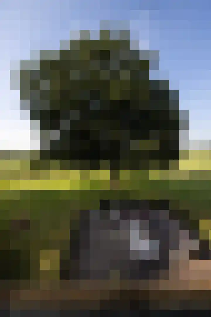 Dijkhuizerweg 25 Epe thumbnail 50