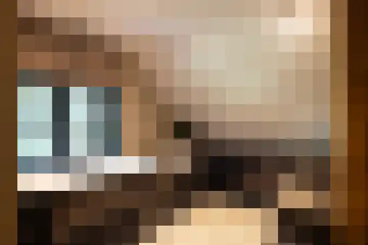 Dijkhuizerweg 25 Epe thumbnail 54